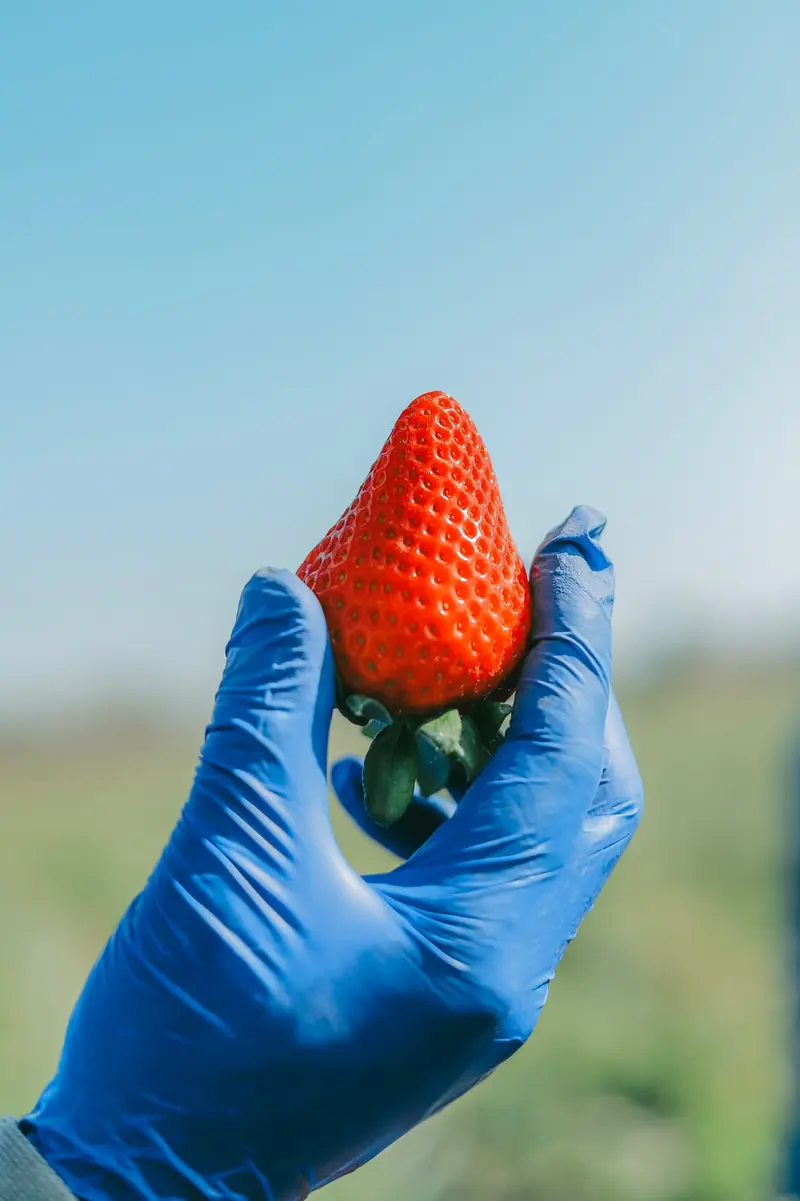 A gloved hand holding a single ripe strawberry against the sky