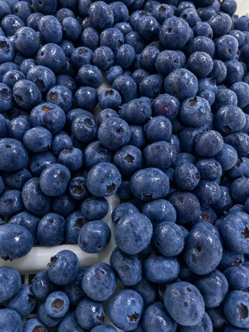 A close-up of fresh, dusky blue blueberries
