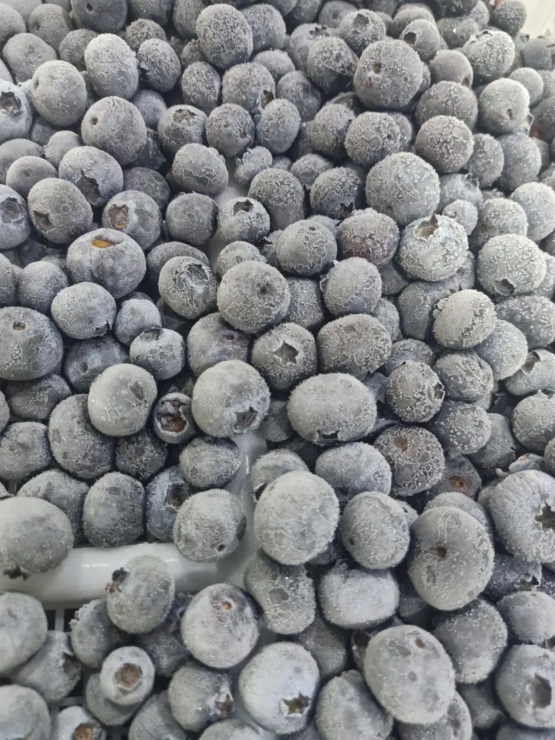 Close-up of frost-covered IQF blueberries