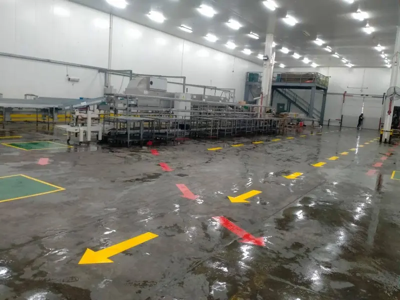 The clean, brightly lit processing hall with its production line