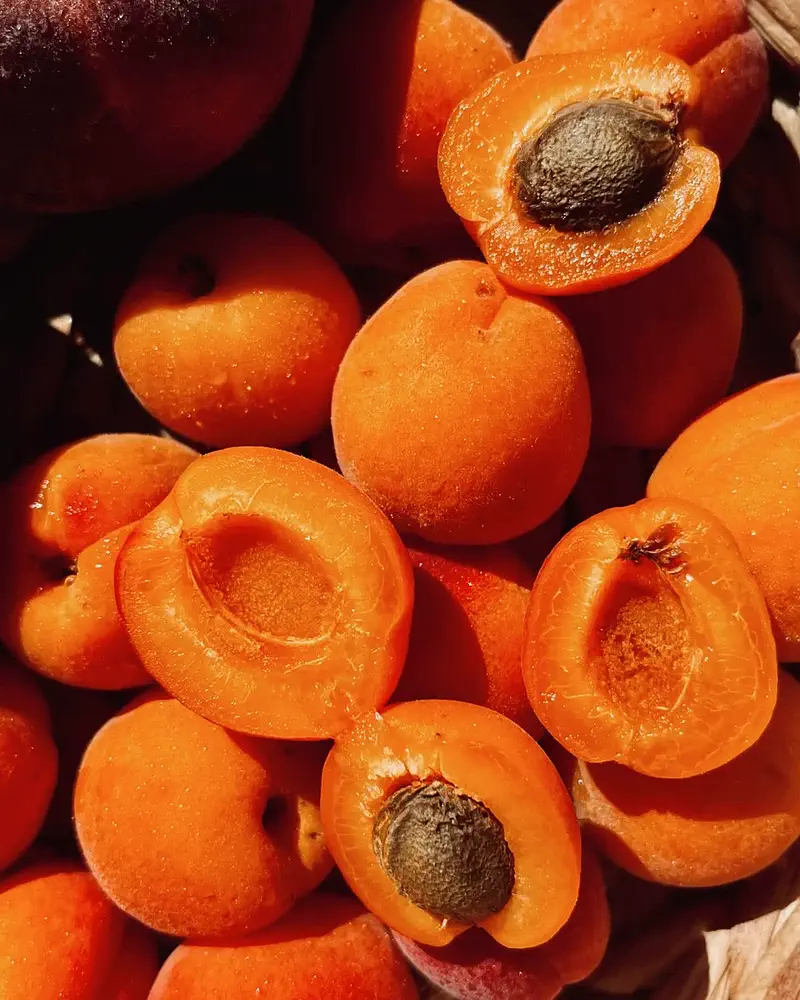 Halved apricots with their stones among whole fruit