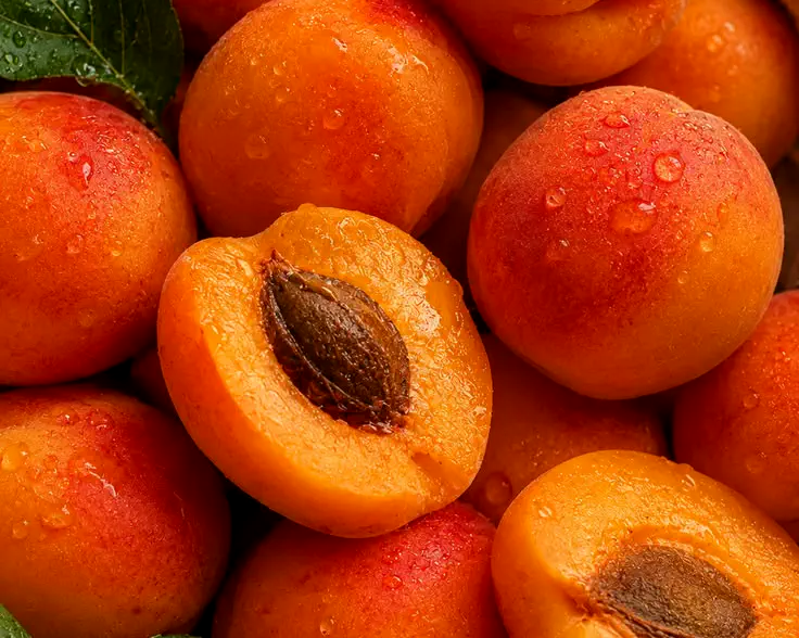 Ripe apricots, whole and halved with the stone showing